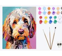 XIAOYOUQIAN Colorful Cute Poodle,Paint by Numbers for Adults, Painting by Number Kits On Canvas, DIY Color Oil Painting, Home Wall Decor 16x20in/40x50cm ,with Frame