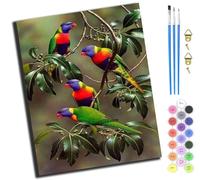 XIAOYOUQIAN Four Parrots in Rainforest Plants,Paint by Numbers Kit for Adults,Adults' Paint-by-Number Kits,Oil Painting for Wall Art,20X16Inch，-Frameless