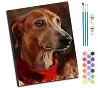 XIAOYOUQIAN Italian Greyhound,DIY Hand Oil Painting,Paint by Numbers Kits for Adults Beginner,for Home Living Room Bedroom Decor,16X20Inch,with Frame