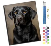 XIAOYOUQIAN Pet Dog Portrait Black Labrador,Paint by Numbers Kit for Adults,Adults' Paint-by-Number Kits,Oil Painting for Wall Art,20X16Inch,-Frameless