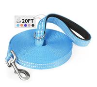XiaZ 20 Feet Dog Training Leash, Nylon, Blue, Reflective, Padded Handle, 550 LBS Bearing, Lightweight Suitable for Small, Medium Dogs and Cats