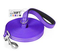 XiaZ 30 Feet Dog Training Leash, Nylon, Purple, Reflective, Padded Handle, 550 LBS Bearing, Lightweight Suitable for Small, Medium Dogs and Cats