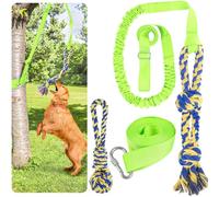 XiaZ Tug of War Dog Toy, Interactive Dogs Toy Bungee Hanging Tether with 2 Chew Rope Toys, Heavy Duty Puppy Outdoor Activity Aggressive Chewers Best Small to Large Boredom Exercise and Play (Green)