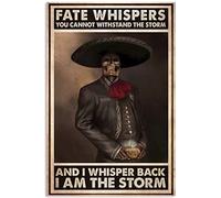 Xiddxu Fate Whispers You Can't Take The Storm I Whisper I Am a Storm Vintage Metal Tin Sign Retro Sign Home Coffee Wall Decor 8x12 inch