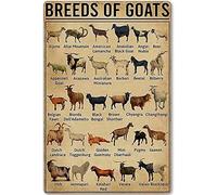 Xiddxu Goat Knowledge Metal Tin Sign Goat Breed Learning Poster Library School Education Living Room Kitchen Bathroom Home Art Wall Decor Plaque Gift 6x8inch