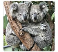 Xiddxu Metal Square Tin Sign Koala Hugging Metal Tin Sign Wall Decor Tin Sign for Toilet Bathroom Decor Gifts Best Farmhouse Decor Gifts for Women Men Friends 12x12 Inch