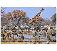 Xiddxu Wildlife South Africa Antique Tin Sign Rustic Wall Decor Metal Wall Plate Vintage Tin Sign Wall Art Retro Advertising Metal Tin Sign Home Decor Garage Kitchen Bar Restaurant 5.5x8 Inch