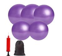 XIECCX Mini Yoga Balls 6 Inch Exercise Pilates Therapy Balance Micropore Ball Barre Equipment for Home Stability Training Physical Core Training with Pump(Purple-5PCS)