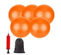 XIECCX Mini Yoga Balls 6 Inch Exercise Pilates Therapy Balance Micropore Ball Barre Equipment for Home Stability Training Physical Core Training with Pump(Orange-5PCS)