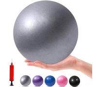 XIECCX Mini Yoga Balls Exercise Pilates Therapy Balance Bender Ball Barre Equipment for Home Stability Squishy Training with Pump (Grey, 9 inch)