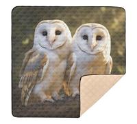 xigua Baby Play Mat - 127 X 127 cm Foldable Waterproof Baby Play Mats for Floor, Cute Owl Soft Foam Crawling Mat for Babies and Toddlers Infants, Machine Washable