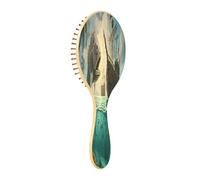 xigua Piranhas and Pirate Ships Hair Brush,Massage Wooden Hairbrush Reducing Hair Breakage and Frizzy,No More Tangle for All Hair Types202