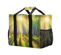 xigua Reusable Grocery Bags Foldable Sunlit Birch Grove Shopping Bags, Heavy Duty Grocery Bags with Reinforced Bottom & Handles