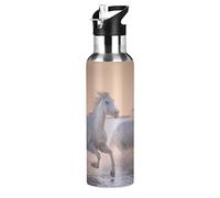 xigua Running Horse Water Bottle, Stainless Steel Insulated Water Bottles with Straw Lids, Vacuum Hot Cold Water Bottle Leakproof Sport Water Bottles 20 oz