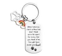 XIHIRCD Pet Memorial Keychain - Rainbow Bridge Dog Sympathy Gift - When Tomorrow Starts Without Me Keyring for Dogs and Cats