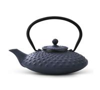 Xilin Cast Iron Teapot Dark Blue