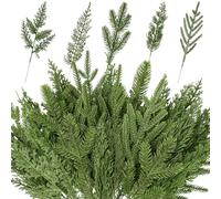 XIMISHOP 60PCS Christmas Norfolk Pine Branches, 5 Styles Artificial Christmas Norfolk Branches Greenery Real Touch Pine Needle Branch Stems Sprigs for Xmas DIY Making Garland Wreath Home Decor