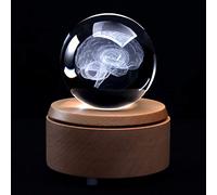 XINDAM 3D Human Brain Anatomical Model Paperweight(Laser Etched) in Crystal Glass Cube Science Gift (Included LED Base)