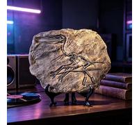 XINDAM Resin Dinosaur Fossil Statue Model Simulated Skeleton Home Office Display Decorative Craft Box Decoration (Style 3)