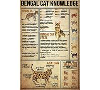 XingFox Bengal Cat Knowledge Metal Tin Sign Anatomy Of Bengal Cat Retro Tin Sign School Education Office Living Room Kitchen Bathroom Home Art Wall Decoration 8x12 Inch