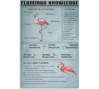 XingFox Flamingo Knowledge Metal Tin Signs Flamingo Infographic Poster Metal Sign Animal Encyclopedia Iron Plaques Classroom Office Room Wall Decor 8x12 Inch