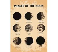 XingFox Phases Of The Moon Chart Metal Tin Signs Triple Moon Goddess Knowledge Posters Astronomers Collection Wall Decor Home Office Guide Science Plaque 8"x12"
