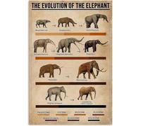 XingFox Vintage Wall Art Prints The Evolution Of The Elephant Knowledge Metal Tin Sign Stegotetrabelodon Nanren Cave Bar Coffee Shop School Garage Bedroom Wall Decoration 8x12 Inch