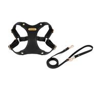 XINGLIDA Dog Vest Harness with Leash No-pull Pet Chest Strap Walking Dogs Traction Harness Outdoor Activity Quick Release Harness