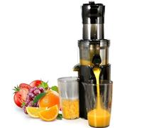 XINGLUOY Masticating Juicer Cold Press Juice Extractor Large Feed Chute High Nutrient Fruits Vegetables Easy to Clean