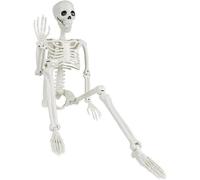 XingYunMaiQiu 1pcs Halloween Posable Skeleton, 90cm/3ft Realistic Human Skeleton Bones Full Body Movable Joints for Halloween Props Spooky Party Decoration