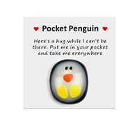 xinrongda A Little Pocket Penguins Hug, Mini Animal Pocket Hug Penguin Decoration, Special CutePenguin Pocket Keepsake Ornament, Encourage Gift for Friends,Lovers, Birthday, Wedding, Penguin