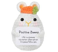 xinrongda Positive Bunny Small Easter Gift, Lucky Charm Gifts for Easter, Mini Knitted Bunny Doll with Card, Motivational Gift, Lucky Gifts for Patient, Girlfriend, Team