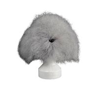 Xinsheinelry Dog Grooming Training Head Model with Unstyled Synthetic Fiber Hair Perfect for Pet Breeds Trimming Coloring Practice Dog Grooming Training Model