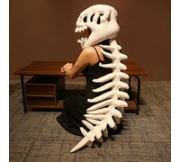 Xintianwang Dinosnug Plush Costume, Dinosnug Plush Dinosaur Costume Outfit, 3D Skeleton Design,Realistic Halloween Dinosaur Skeleton Costume (White, 1.2M)