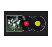 XINWENLI Vinyl Record Display Frame, Double Vinyl Display Frame, Double Lp Vinyl Frame for Display Two 12" Records and One 12.5" Album Cover, Black (Records not Included)
