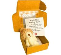 xinxinyu Handmade Mini Plush Teddy Bear in Box, Plush Bears with Inspirational Card, Little Pocket Bear Hug Mini Stuffed Worry Bear Fluffie Stuffies Animal Bears Cute Doll Decoration Gifts (White)