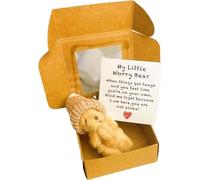 xinxinyu Handmade Mini Plush Teddy Bear in Box, Plush Bears with Inspirational Card, Little Pocket Bear Hug Mini Stuffed Worry Bear Fluffie Stuffies Animal Bears Cute Doll Decoration Gifts (Brown)