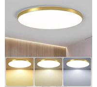 XINYASEE LED Round Ceiling Light, Round Ceiling Light, Three Colours dimmable LED Ceiling Round Ceiling Light, Living Room Balcony Corridor Kitchen Bedroom Simple Acrylic Ceiling Light (Gold, 40W)