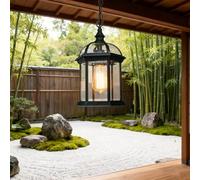 XINYASEE Vintage Outdoor Pendant Light, Glass & Metal Hanging Lantern with Edison Bulb Style, Waterproof Porch/Patio/Deck/Front Door Light(DD-C)