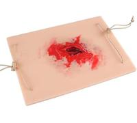 Xinzhai Bleed Control Tourniquet Trainer, Wound Packing Task Trainer, Basic Wound Packing Trainer For Practicing Hemostatic Dressing Techniques