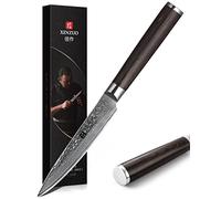 XINZUO Paring Knife 4.8 Inch Small Kitchen Knife,67 Layers Hammer Damascus Steel Fruit Knife,Pakkawood Handle,Ultra Sharp, Chef Gift-He Series