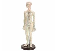 XIOFYA 1PC Human Body Acupuncture Model Female Meridians Model Chart Book Base 48cm
