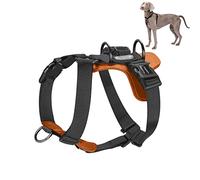 xipebros Dog Harness, no Pull Dog Harness with lesthe Pads,Ideal for Dog Walking and Training. Easy Walk Dog Harness for Small(Black, M), Medium
