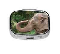 Xiso Ver Asia Elephant Pill Box Portable Metal Pill Organizer 2 Compartment Medicine Small Pill Case for Purses Compact Travel Medicine Holder for Vitamins Medication