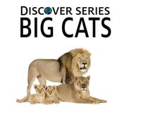 Xist Publishing Big Cats Hardcover Book Xist Publishing Multicolor