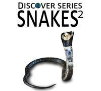 Xist Publishing Snakes 2 Hardcover Book Xist Publishing Multicolor
