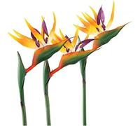 xitoio 3 Pack Artificial Bird of Paradise Stems,Faux Strelitzia Flowers, Realistic Silk PU Fake Heaven Bird Floral Plants for Home Office Wedding Table Centerpiece Decoration (Yellow, large)