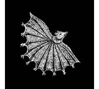 XIU XIU - IGNORE GRIEF (SILVER GHOST VINYL)