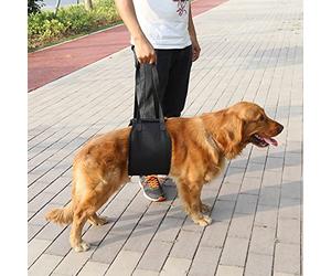Xiuganpo Dog Lift And Assist Support Harness With Handle For Canines Aid, Safe And Durable, For Dogs Suffering From Injuries, Made Of Polyester, Black, 4 Sizes (M)