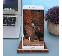 Xiuganpo Wooden Nut-Brown Desktop Tablet PC Mobile Phone Stand Bracket Sturdy Office Desk Display for
